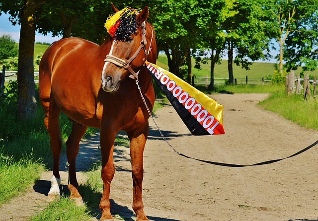 灵魂人物 灵魂人物