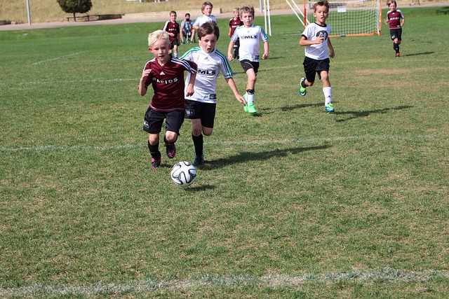 洩情感的平 洩情感的平