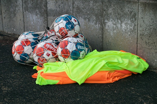 家和地區學 家和地區學